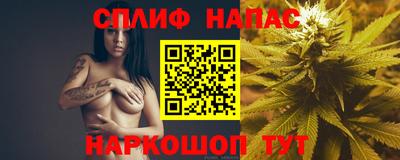 стаф Тула