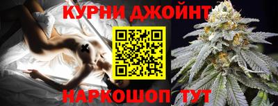 стаф Тула