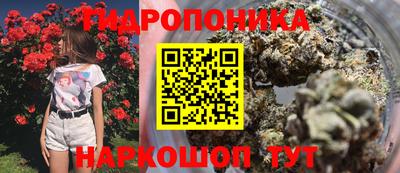 круглые Тулун
