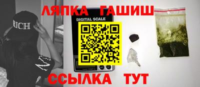 стаф Тула